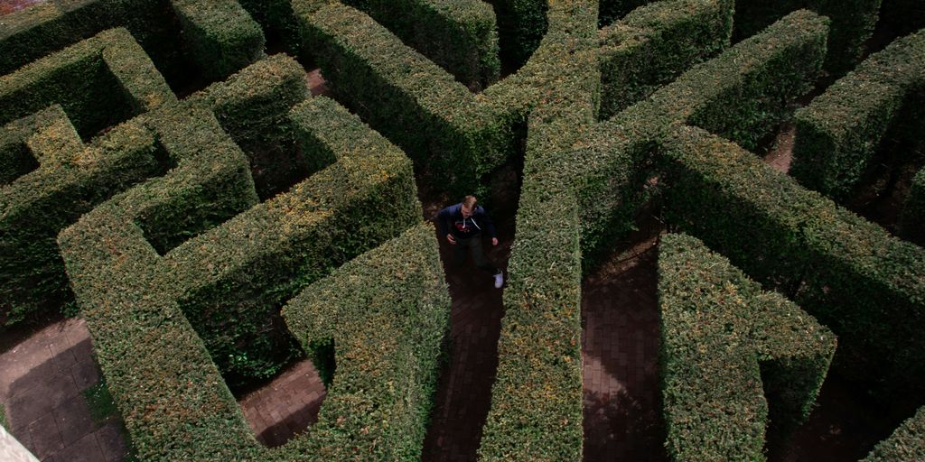 person in black jacket walking on green grass field